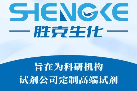 关于公司