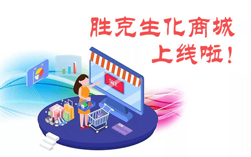 商城上线