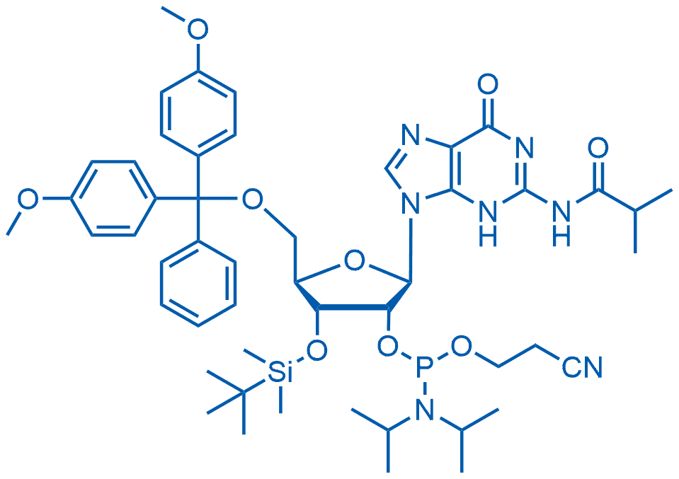 3'-O-叔丁基二甲基甲硅烷基-5'-O-DMT-N2-异丁酰鸟苷2'-CE亚磷酰胺